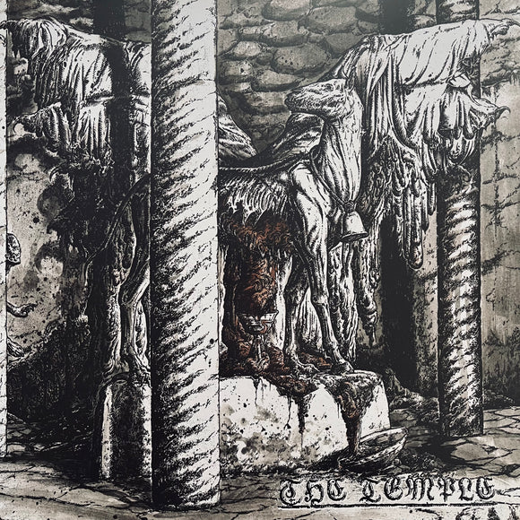 USED - The Temple - The Temple LP