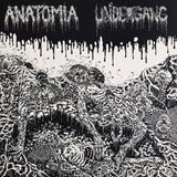 Anatomia / Undergang - Split LP