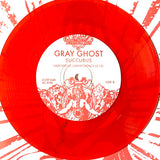USED - Gray Ghost – Succubus 7"