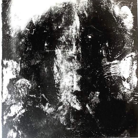 USED - Rotting Sky – Sedation LP