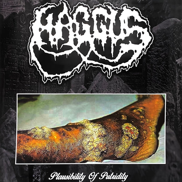 USED - Haggus – Plausibility Of Putridity LP