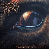 USED - Carach Angren - Lammendam 2xLP