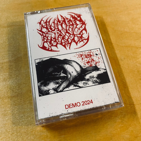 Human Puzzle - Demo 2024 Cassette