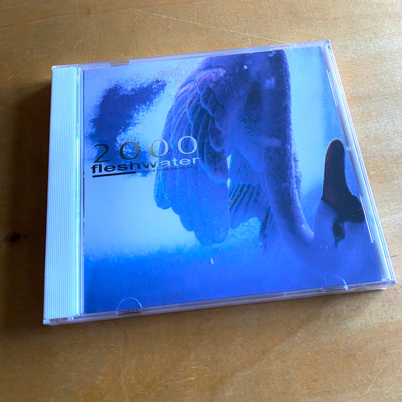 Fleshwater - 2000: In Search Of The Endless Sky CD