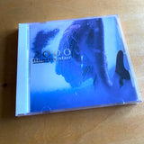 Fleshwater - 2000: In Search Of The Endless Sky CD