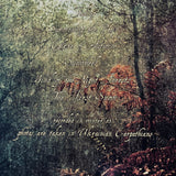 Drudkh - Autumn Aurora LP
