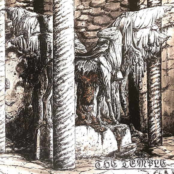 USED - The Temple - The Temple LP