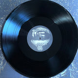 USED - Vermin Womb – Decline LP