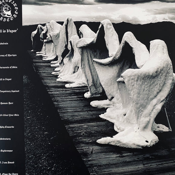 Porcupine - All Is Vapor LP