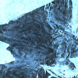 USED - Integrity – 7th Revelation: Beyond The Realm Of The VVitch 7"