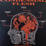 Worn - Condensing Flesh 7"