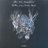 USED - Stander – Vulnerable LP