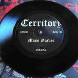 USED - Territory - Blowback 7"
