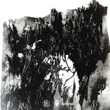 USED - Rotting Sky – Sedation LP