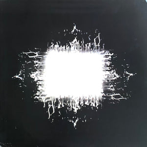 BLEMISH / USED - Tool – Ænima 2xLP (UNOFFICIAL)