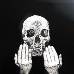 USED - Chaos Echœs – Tone Of Things To Come LP