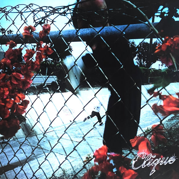 CLIQUE - In Lives That Won’t Last LP