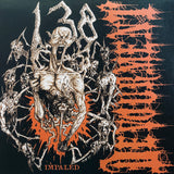 Devourment - Impaled 7"