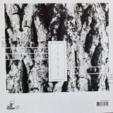 Scarcity - Aveilut LP