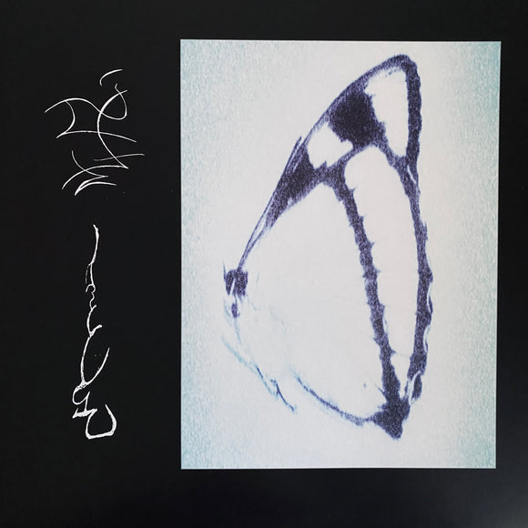 Trhä - Inagape LP