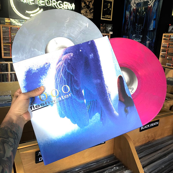 Fleshwater - 2000: In Search Of The Endless Sky LP