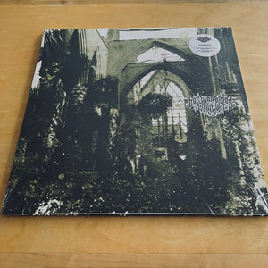 Der Weg Einer Freiheit - Agonie LP
