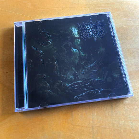 Cerebral Effusion - Ominous Flesh Discipline CD