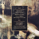 Vaticinal Rites - Cascading Memories Of Immortality LP
