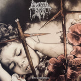 Immortal Bird - Sin Querencia LP