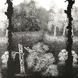 USED - Moloch / Moonknight – Split 7"