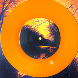 USED - Life – Demo I 7"