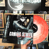 The Coming Strife - Dusk's Cold Embrace Compilation LP (MG EXCLUSIVE)