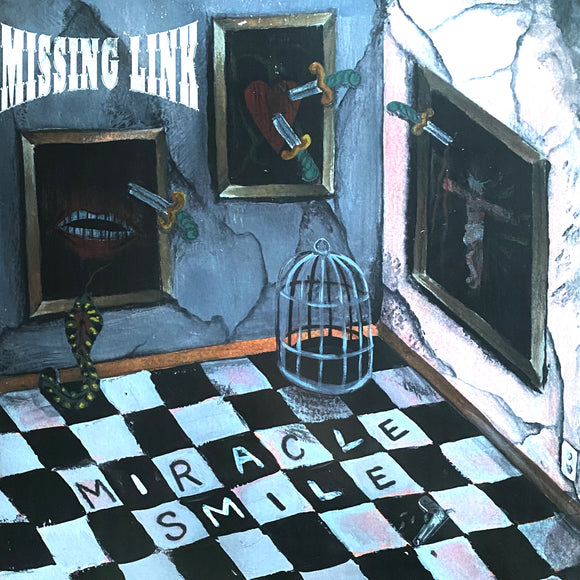 Missing Link - Miracle Smile 12