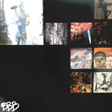 USED - Division Of Mind - Division Of Mind LP