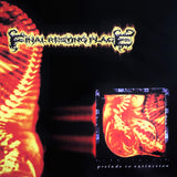 Final Resting Place - Prelude To Extinction 12"