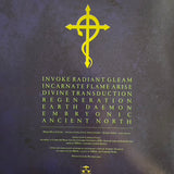 USED - Luminous Vault – Animate The Emptiness LP