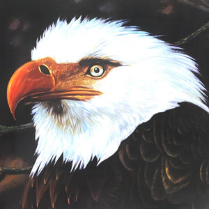 BLEMISH / USED - Mogwai – The Hawk Is Howling 2xLP