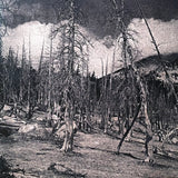 Hate Forest - Sorrow LP