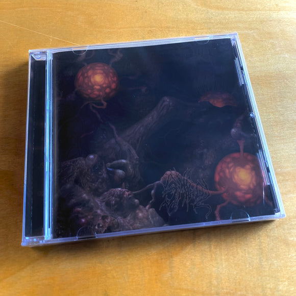 Insalubrity / Excrescence / Anal Stabwound / Theurgy - Sheol CD