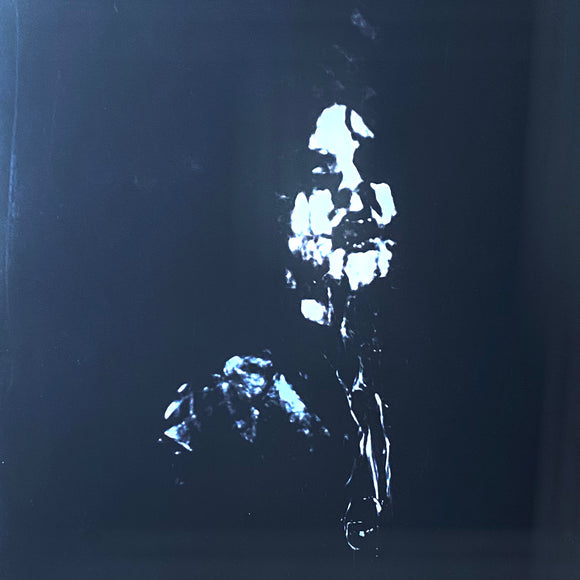 USED - Rebirth Of Nefast – Only Death LP