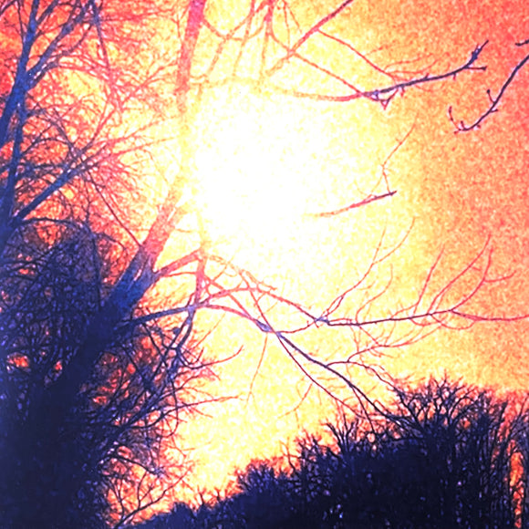 USED - Life – Demo I 7