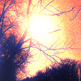 USED - Life – Demo I 7"