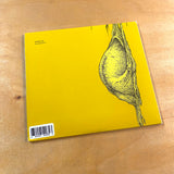 USED - Pyramids / Horseback – A Throne Without A King CD