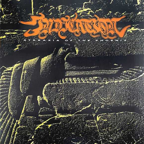 USED - Indication - Ataraxia Of The Phoenix LP