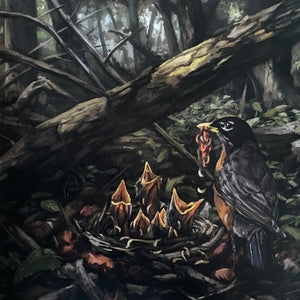 BLEMISH - The Acacia Strain – Step Into The Light LP