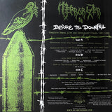 USED - Terrorizer LA - Before The Downfall 2xLP