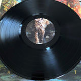 Heaven Shall Burn - Heimat LP