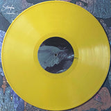 USED - Stander – Vulnerable LP