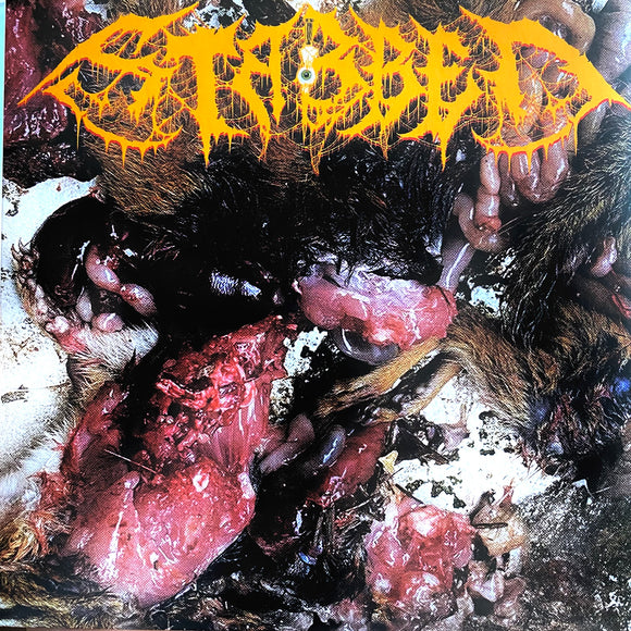 Stabbed - Defleshed By Reptiles 7
