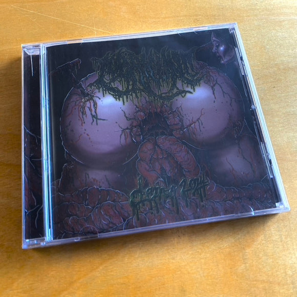 Lubricunt - Demo 2024 CD